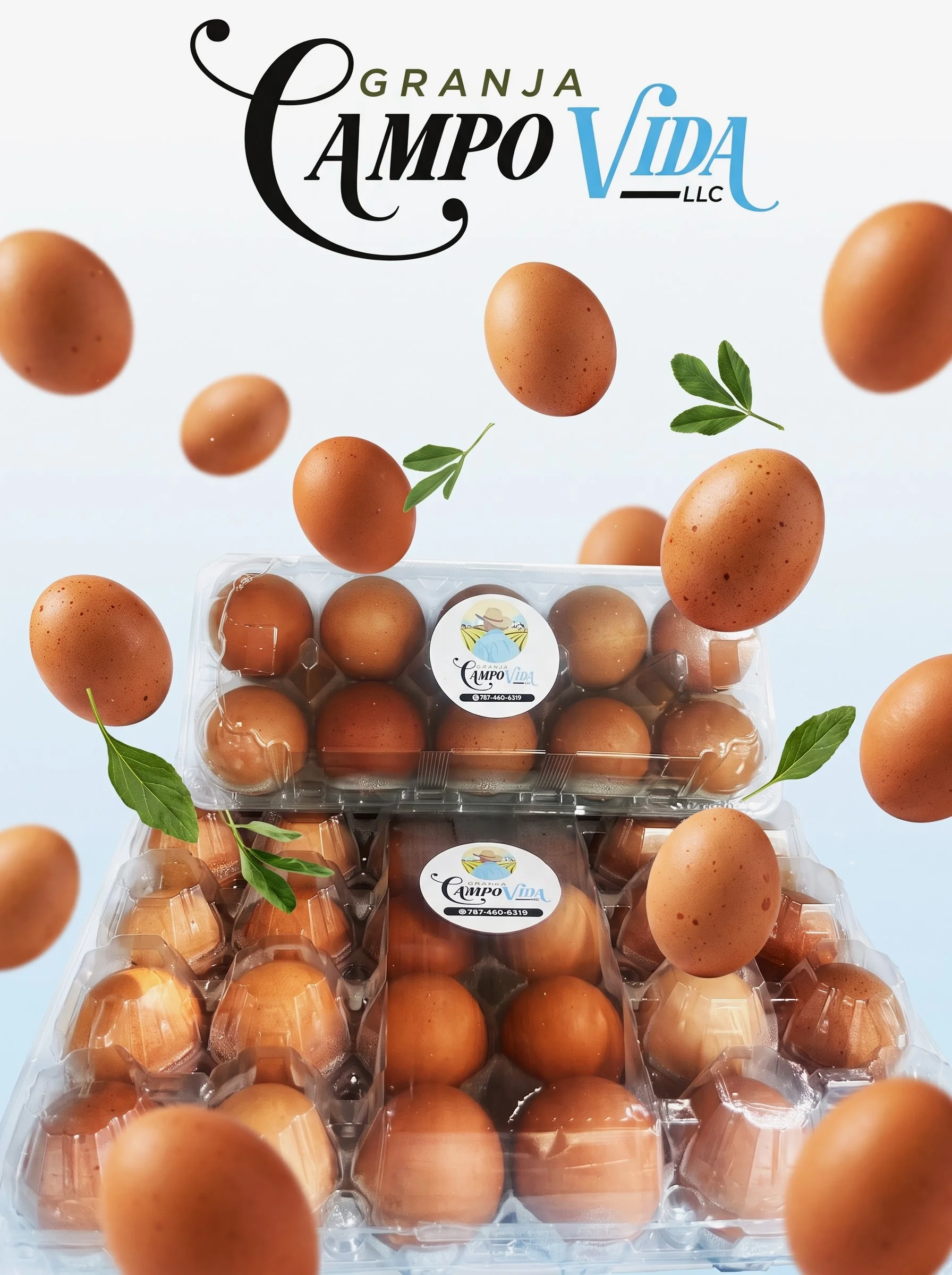 Anuncio de Granja Campo Vida - diseño publicitario